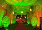 images/galary_ashish/gallary_19.jpeg